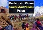 Kedarnath Ponies And Palkies Price | घोडा पालकी का किराया