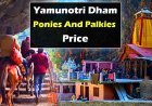Yamunotri Dham Ponies And Palkies Price | यमुनोत्री धाम घोड़े और पालकी का किराया