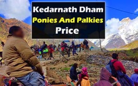 Kedarnath Ponies And Palkies Price | घोडा पालकी का किराया