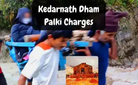 Kedarnath Dham Palki Charges in 2024  | गोरीकुंड से केदारनाथ धाम पालकी का किराया