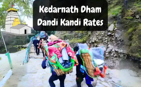Kedarnath Dham Dandi Kandi Rates in 2024 | केदारनाथ यात्रा के लिए डंडी कंडी के रेट