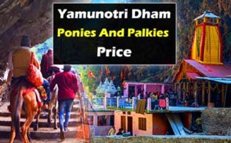 Yamunotri Dham Ponies And Palkies Price | यमुनोत्री धाम घोड़े और पालकी का किराया
