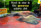 Badrinath Brahma kapal ki Jankari | पितरों के मोक्ष के लिए ब्रह्मकपाल सर्वश्रेष्ठ तीर्थ