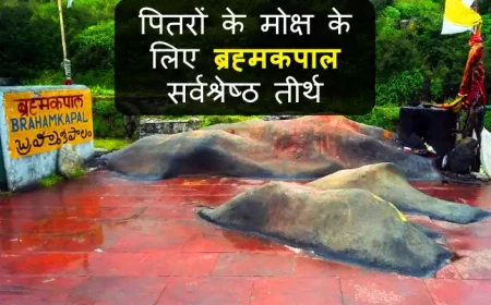 Badrinath Brahma kapal ki Jankari | पितरों के मोक्ष के लिए ब्रह्मकपाल सर्वश्रेष्ठ तीर्थ